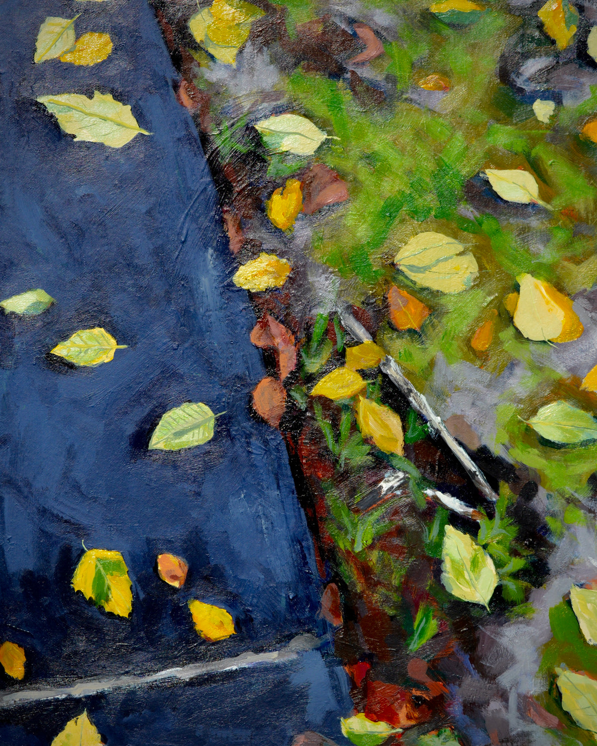 Starting to Fall 16x20”