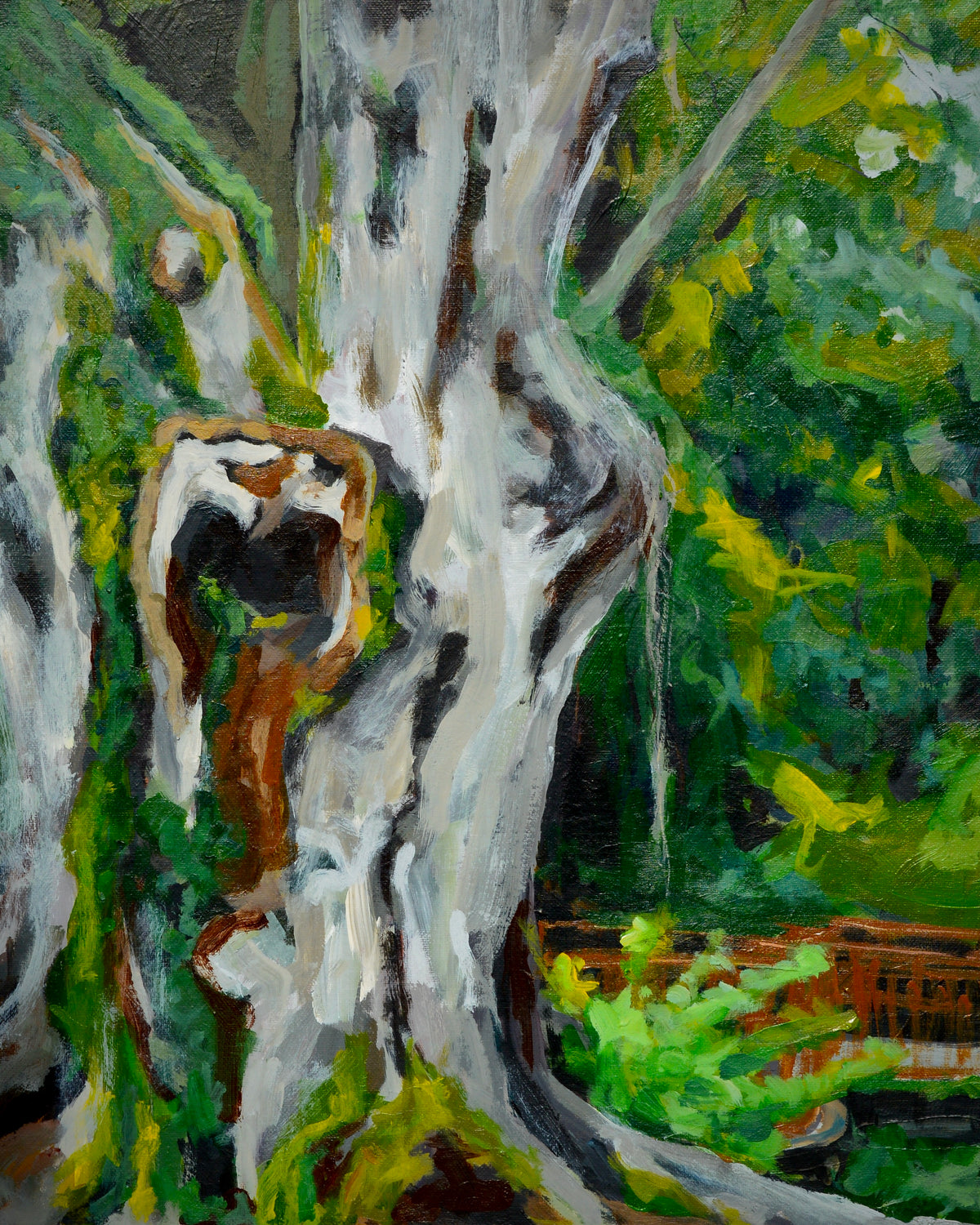 Old Oak 16x20”